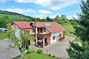 Guesthouse Ante Hodak - Seliste Dreznicko