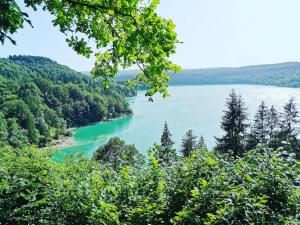 Maisons de vacances L'Orgeletaine : Grande Maison au milieu des Lacs du Jura : photos des chambres