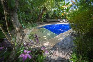 Villas Oasis