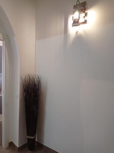 Casa Vacanze