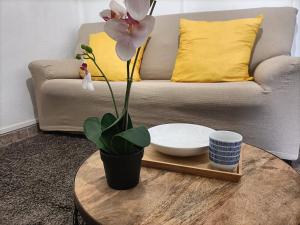 Casa rural en el Parque Nacional de Garajonay en la Isla de La Gomera, Alonso y Carmen