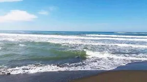 Sunny House Apartments Doni Štoj - Bregvija