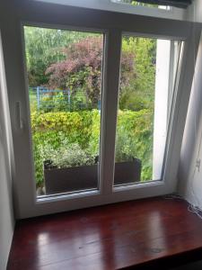 Apartament w Starej Szkole