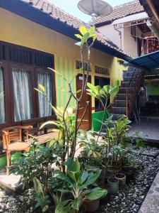 Agung Pring Homestay