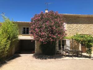 Maisons de vacances Mas provencal - Terre de l'Ubac 10-12 pers. : photos des chambres