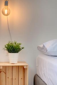 Cactus Guesthouse, Κίνι Συρος