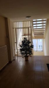 Apartament Plac Trzech Krzyży