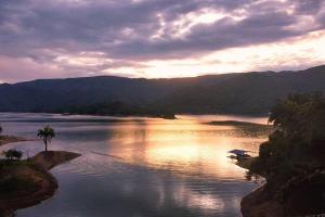 Fincasa del Mar-La Casa del Arbol