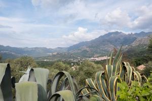 Appartements Gite de charme proche de Calvi : photos des chambres