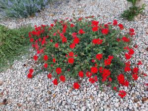 Villa Impetrata IUN Q7090