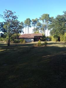 Maisons de vacances Maison confort,terrasse en bois , 2 chambres, sur un parc de 4000m2 arbore et clos : photos des chambres