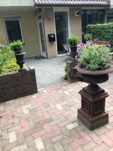 HOLTINGERHUYS Uffelte- Giethoorn! Tegen betaling Wellness!!!