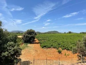Gite Les Robiniers - Corbières