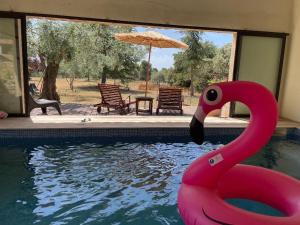 Maisons de vacances Gite Les Robiniers : photos des chambres