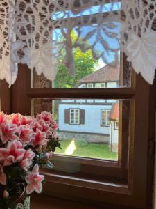 Apartament w XIX-wiecznym Spichlerzu nad Jeziorem z dostępem do parku i widokiem na Dworek Modrzewiowy z 1823 roku