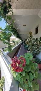 Villa Madani