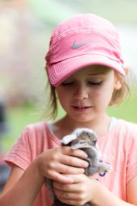 ERLEBNISBAUERNHOF Steinerhof in Kärnten