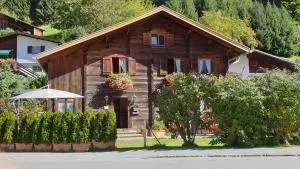 Montafonerhaus - Silbertal