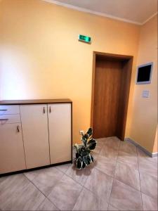 Apartment Prvic Sepurine