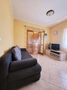 Apartment Prvic Sepurine