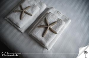 Palmes Pirmas Sezonas Palanga