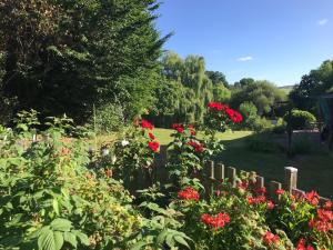 Maisons de vacances La Paix : photos des chambres