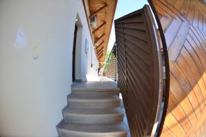 Magic Five - Cazare Reghin ***