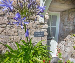 Cosy 1 bedroom Cottage - Great location & Parking