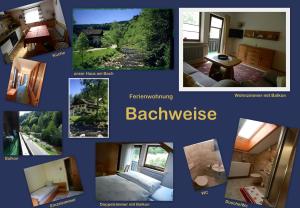 Ferienwohnungen in Schönmünzach