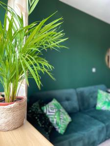 Apartamenty Termalne GREEN Apartment