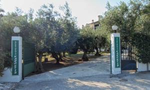 Apartments Karpetis a green paradise