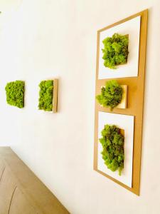 PLANT HOUSE Roma Eur