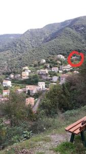 Appartements Charmant appartement au coeur de la montagne Corse : photos des chambres