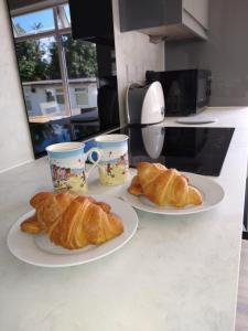 Sandy Toes 435 Norton Park Dartmouth