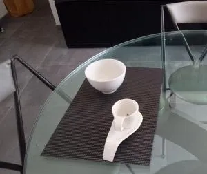 Epiphytes et succulentes - Plourivo