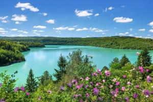 Maisons de vacances L'Orgeletaine : Grande Maison au milieu des Lacs du Jura : photos des chambres