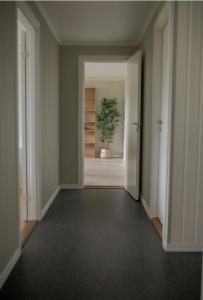Jåsund SunView