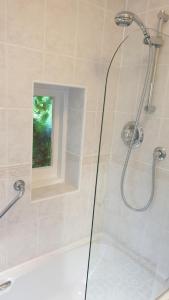 Beautiful Garden Apartment in Leafy St Leonards 5 Mins to Beach