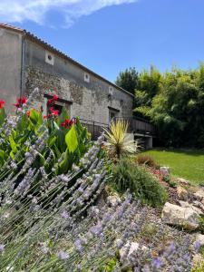 Maisons de vacances Jardin d'Essais (Gite) : photos des chambres