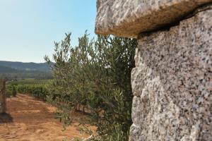 Villetta Saeprus img36
