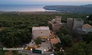 Rizomia 1865 - Psíon