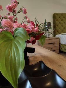 Smestaj Stanisavljevic