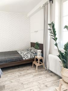 Charming City Paradise Apartment Stylish Stay in Bratislava Old Town