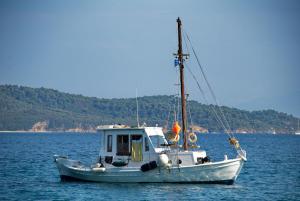 Azalea Skiathos Greece