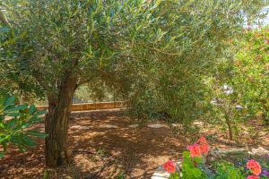 Apartment with Terrace room in Apartments Villa Tribunj