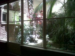 Monoambiente con vista a jardín