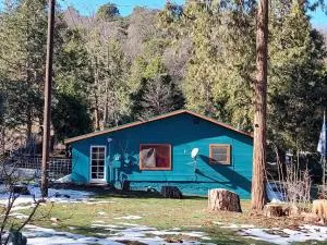 O'Brien's Oasis - Hoffman Point