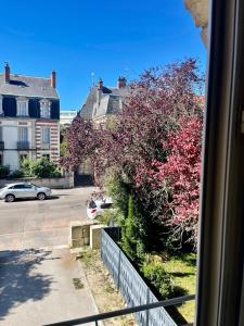 Appartements Superbe 40 m2 tout confort au coeur de Dijon : photos des chambres