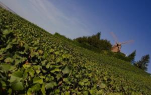 Appartements Le Fuseau de Reims : photos des chambres
