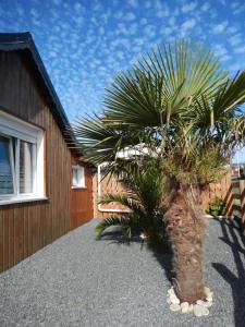 Chalets Chalet ALOHA : photos des chambres